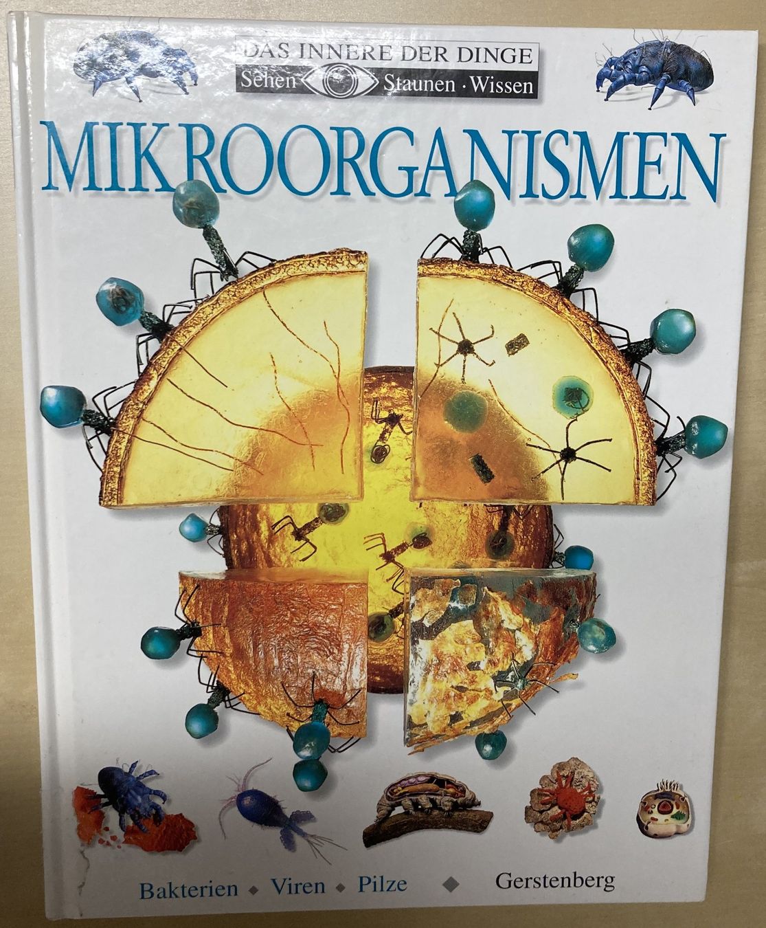 Libri: MIKROORGANISMEN – Usato da Reinach BL venduto da Loma8