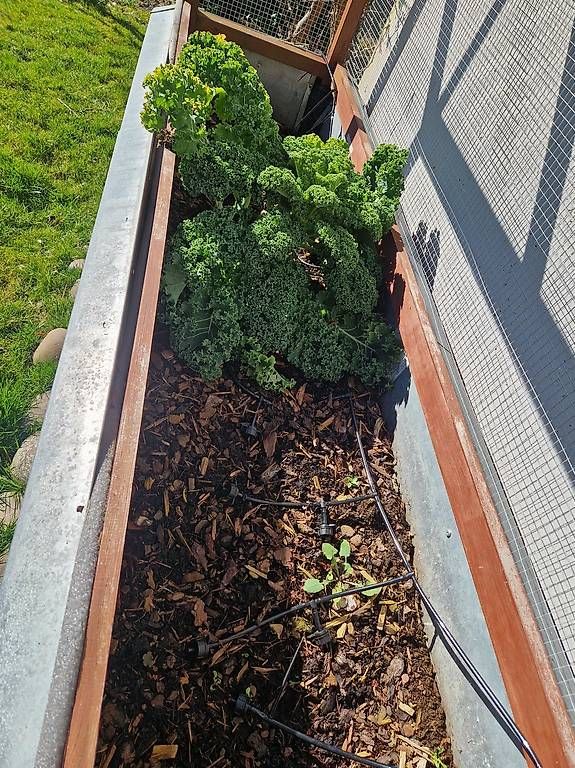 Coffres de rangement: Gartenbeet – D'occasion à Luzern par TamaraMoser 3