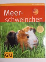 Meerschweinchen - Tierratgeber