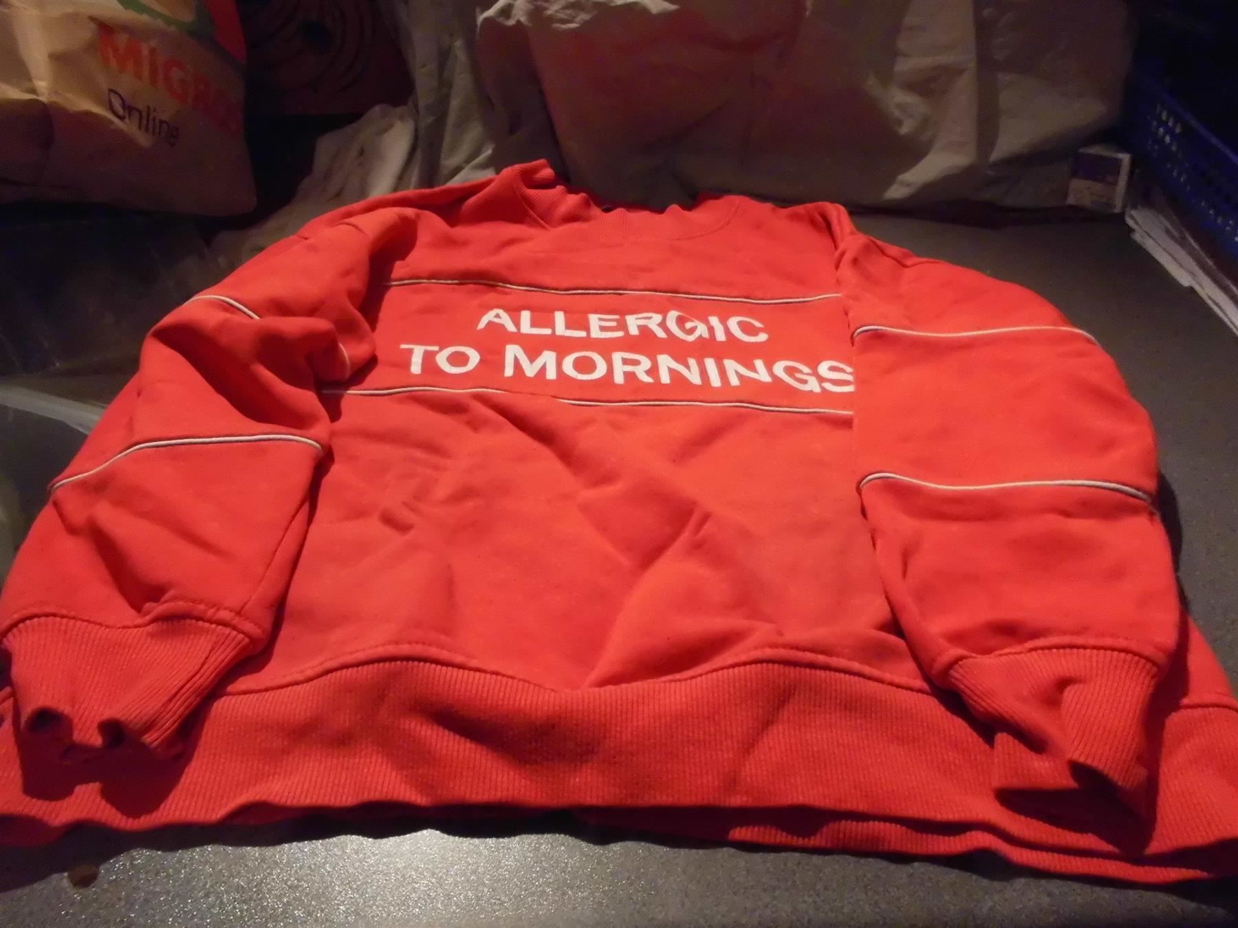 Bershka Maglioni & Felpe: Pullover Grösse S, Bershka, rot – Usato da Zürich venduto da Motzkuh