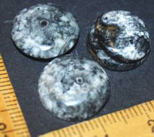 Cabochon Set L-773 – Orthoceras Fossil – 3 Stück