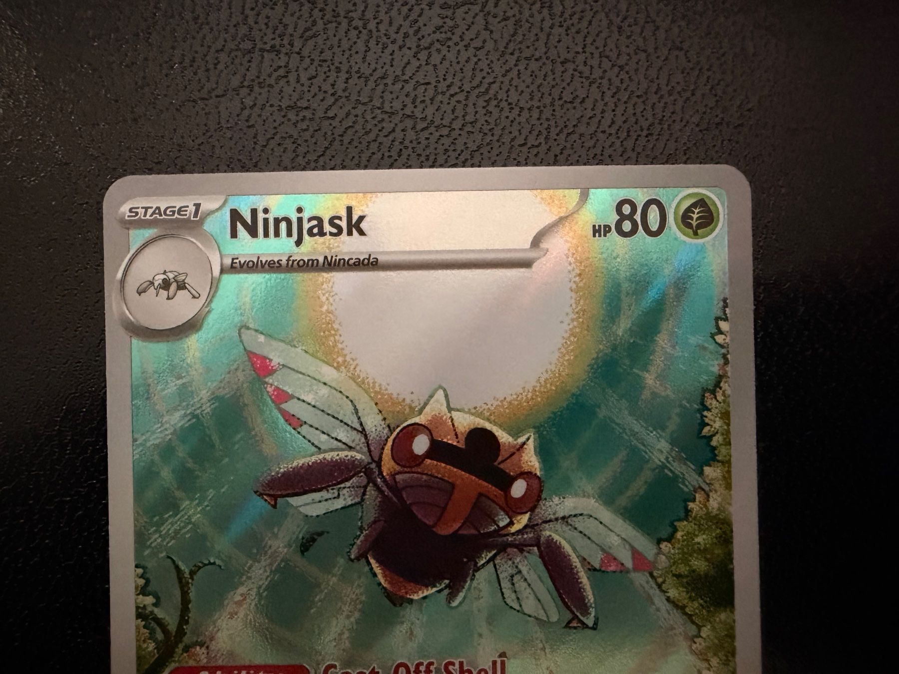 Pokémon Carte collezionabili: Ninjask 137/132 Mega Evolution MEG NM EN – Nuovo (secondo la descrizione) da Luzern venduto da haeppel83 1