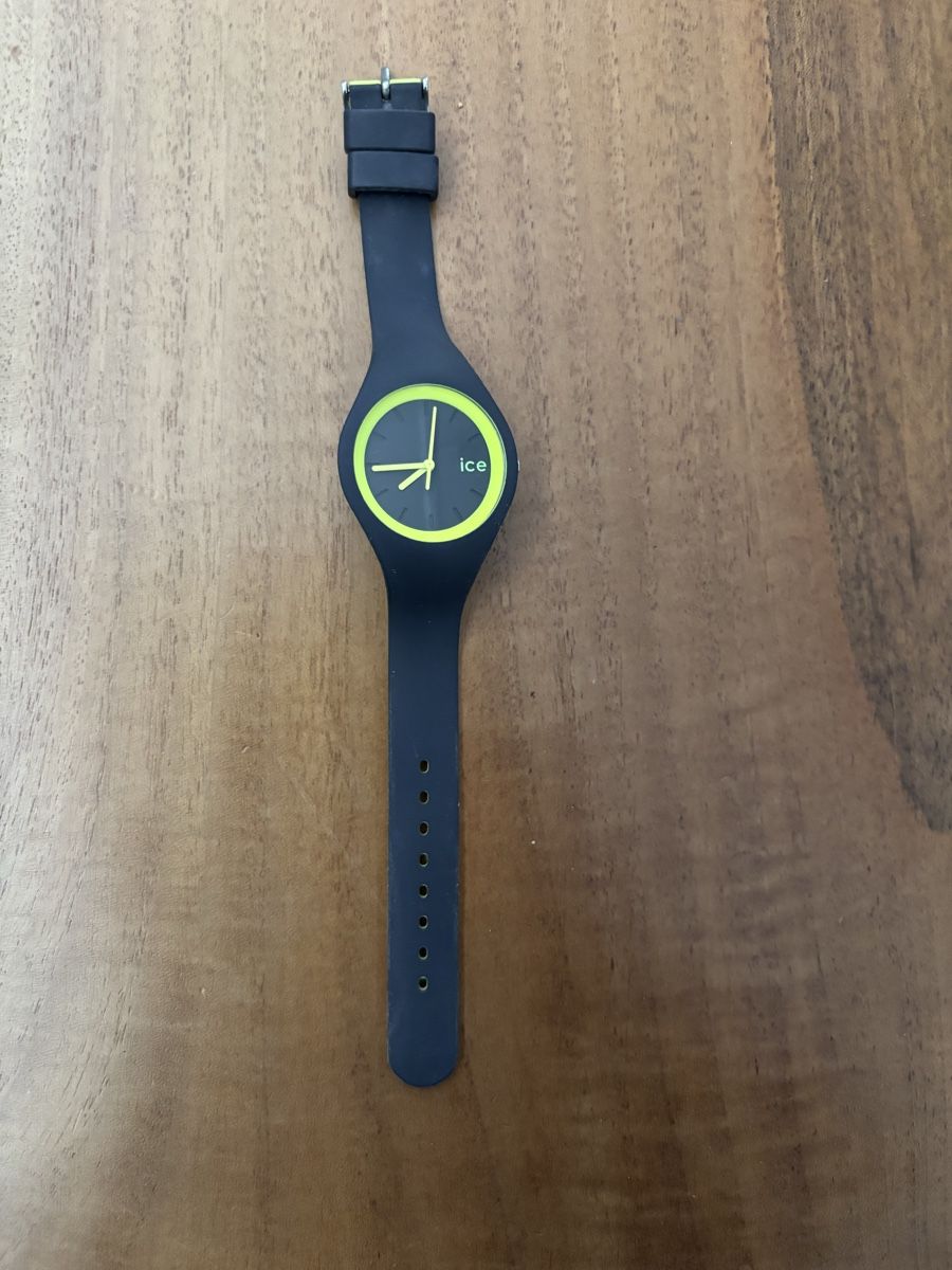 Swatch Smartwatch: Ice Watch – Usato da Seewen venduto da dvh05