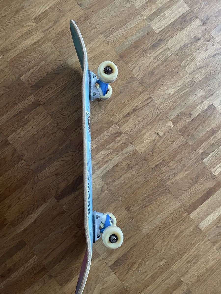 Skateboards: Skateboard – Gebraucht aus Männedorf von bluebird35 7