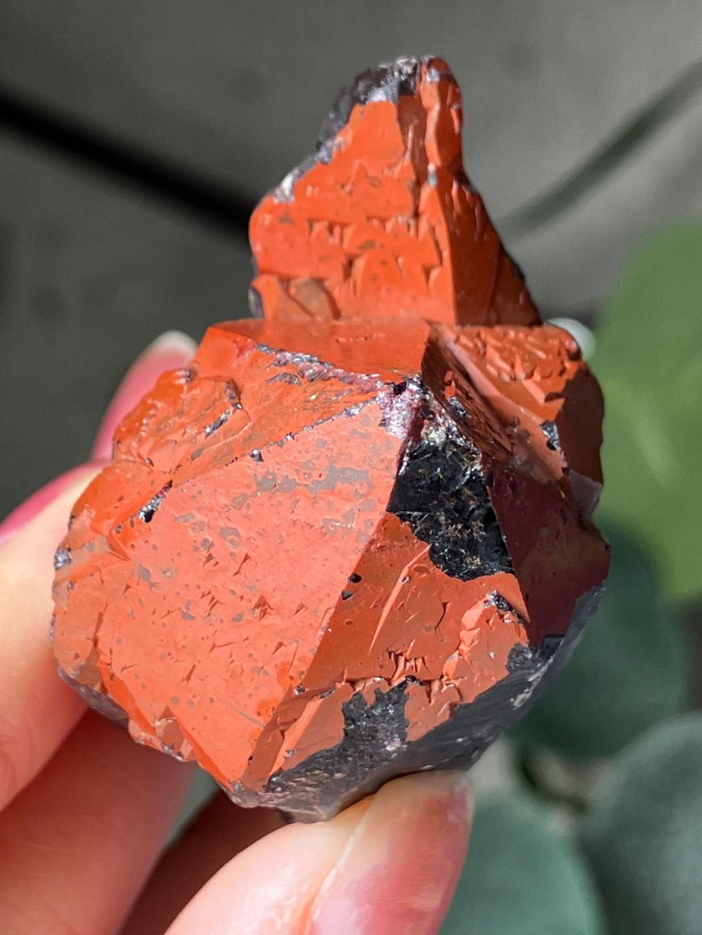 Edelsteine: Thunder Bay Amethyst – Neu (gemäss Beschreibung) aus Neuheim von m.hald 6