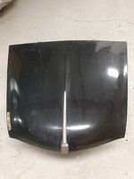 Motorhaube Fiat 1100 1954