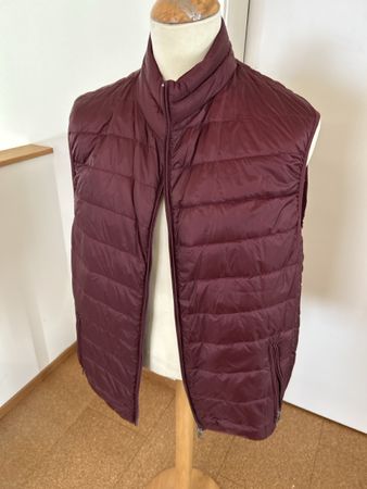 Herren Daunengilet