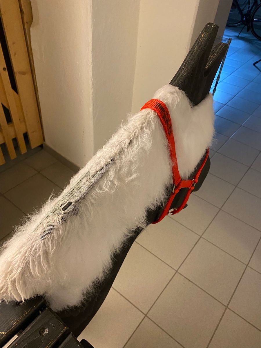 Giocattoli: Holzpferd für Kinder – Usato da Zürich venduto da baby0022 7