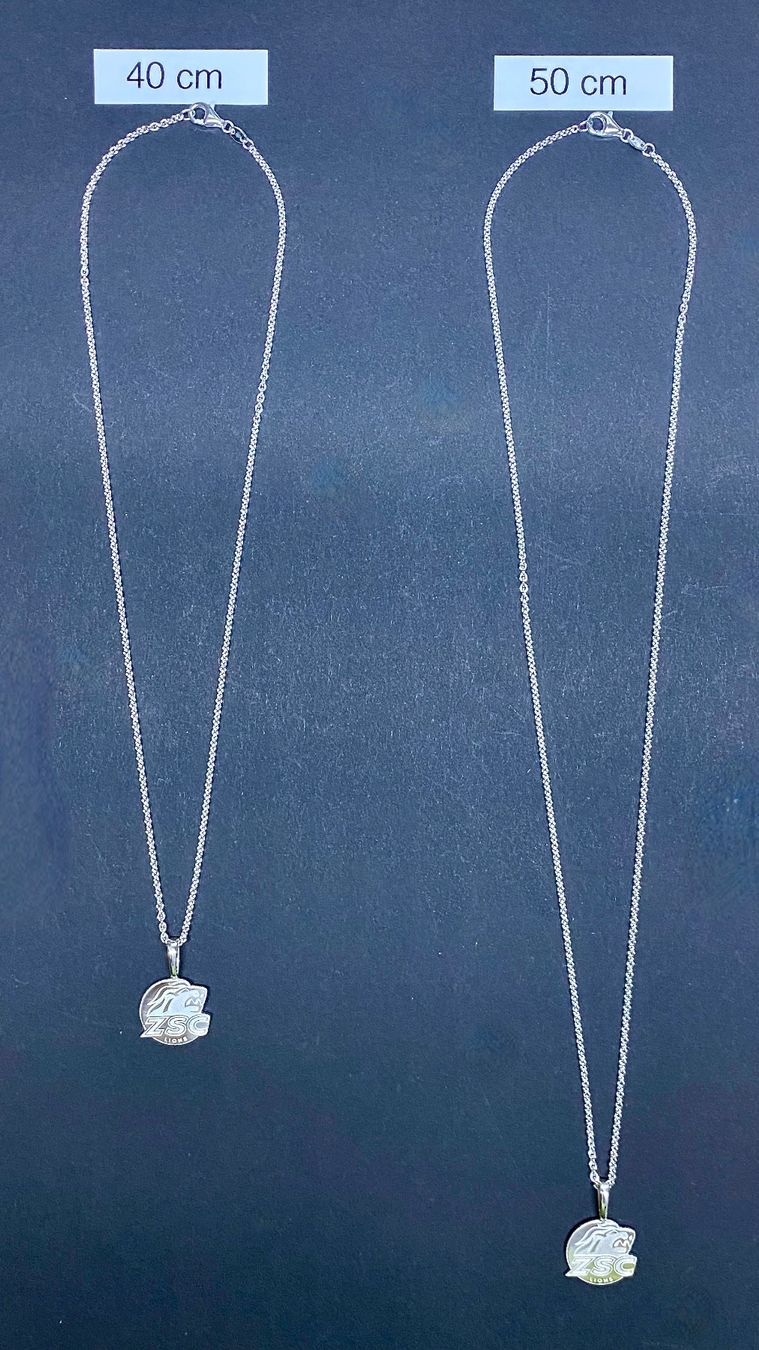 Pendentifs: ZSC Lions Anhänger – Neuf avec emballage d'origine à Zürich par GoldschmiedBinder 3
