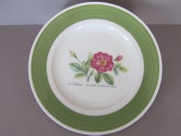 Hutschenreuther Teller, Rosendekor, grün, Top Zustand!