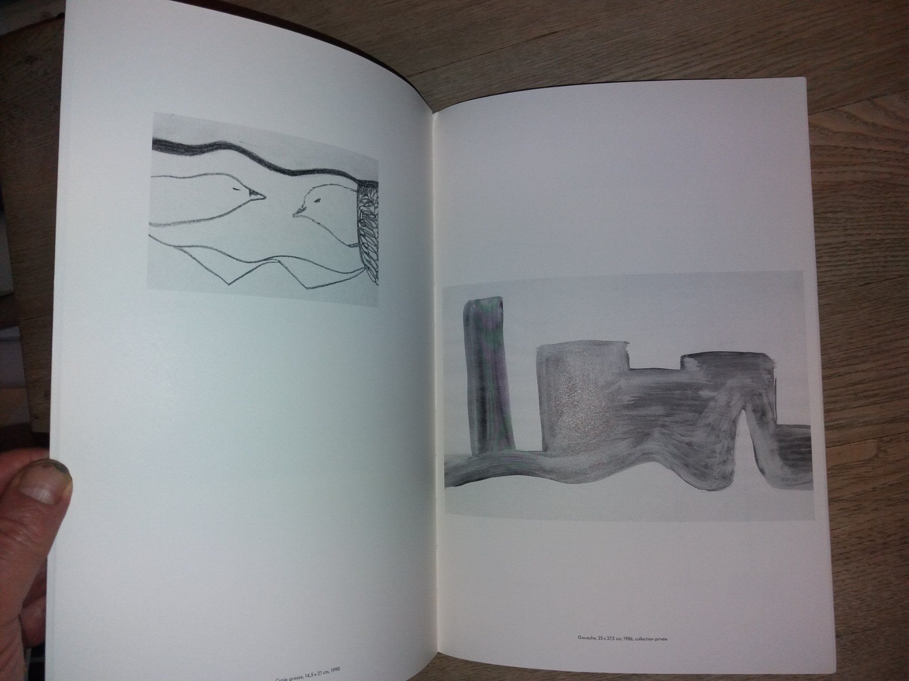 Libri: SILVIA Bächli Kunstklassik selten – Usato da Welschenrohr venduto da Regool 1
