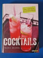 Cocktails Zubereitung und 1000 Rezepte