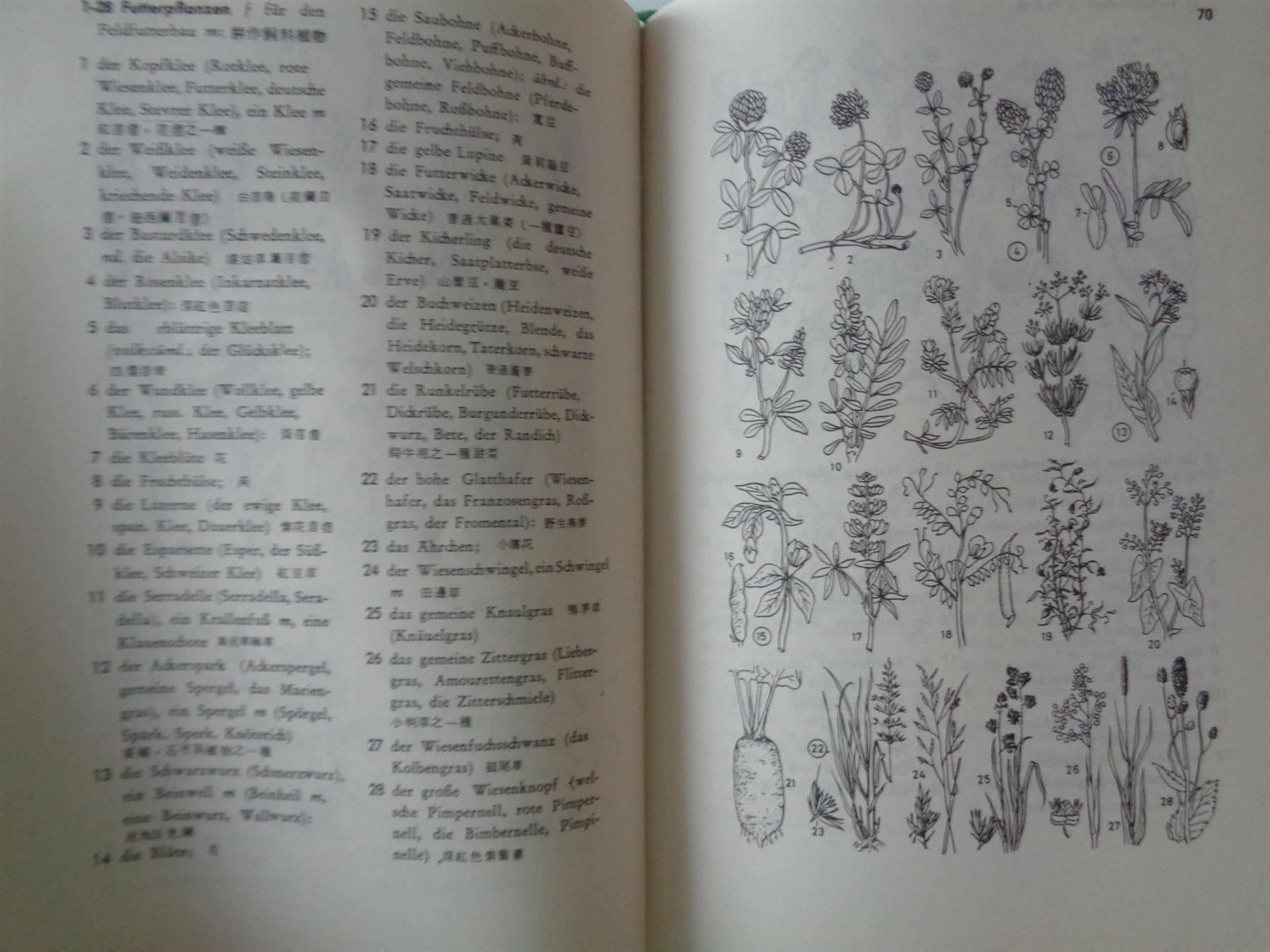 Libri: Deutsch-chinesisches Bilderwörterbuch – Usato da Chur venduto da omonia 5
