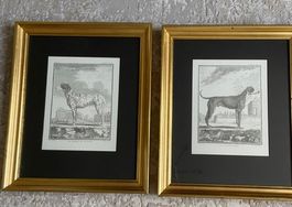 Bilder 2-Set Hunde