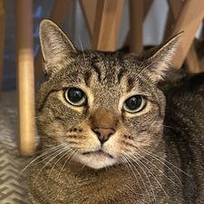 Profile image of denny-produit