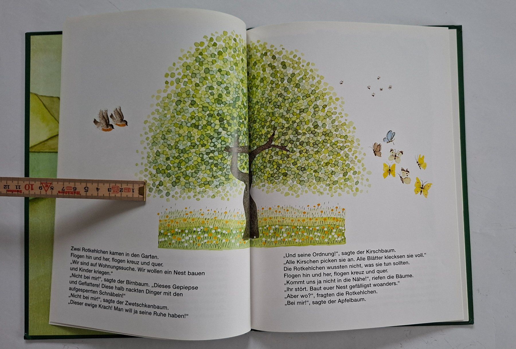 Libri: Der Apfelbaum - Kinderbuch von Mira Lobe – Usato da Opfikon venduto da Diversamente 3