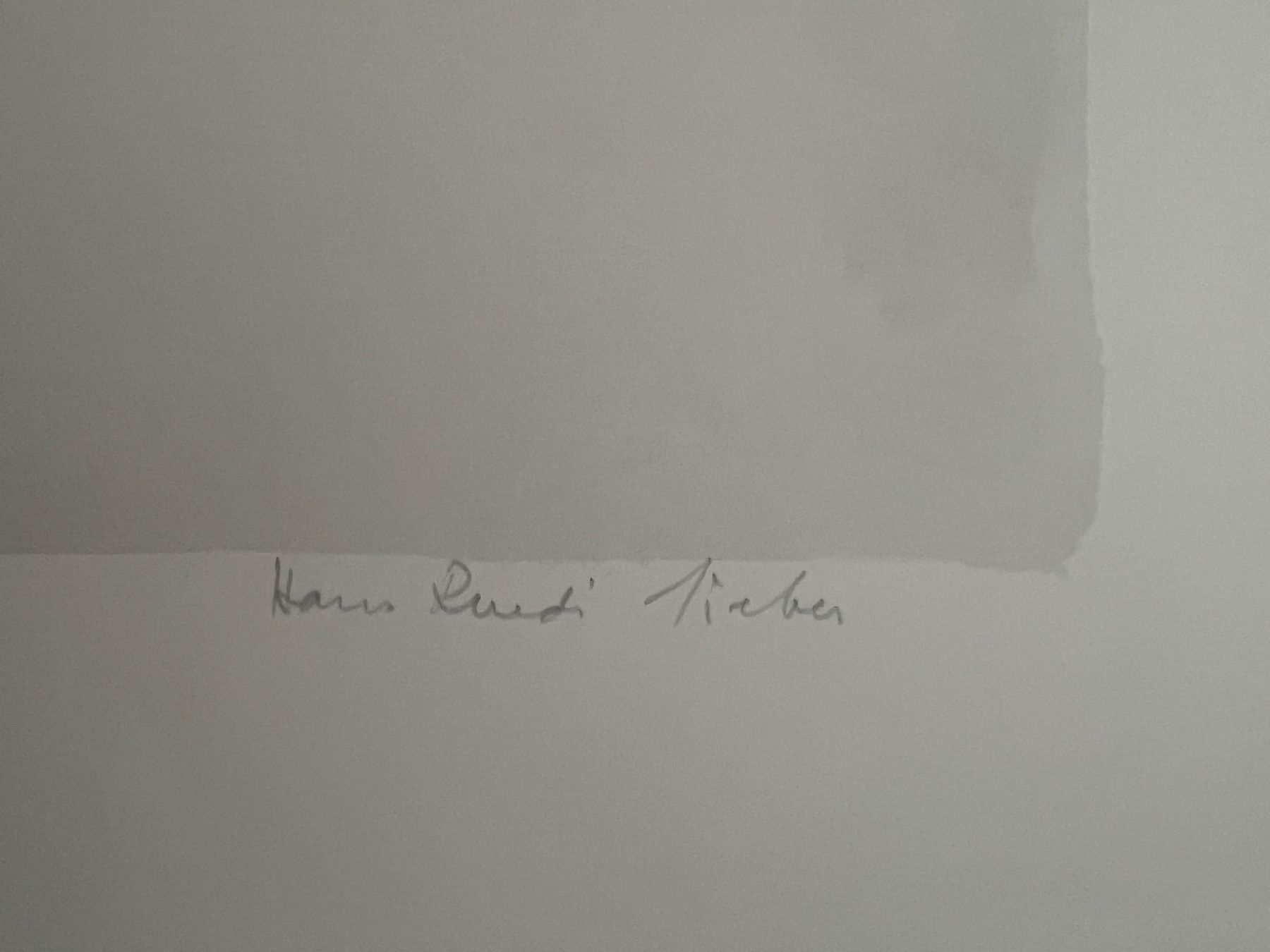 Grafica & Litografie: Hans Ruedi Sieber, handsigniert, nummeriert – Usato da Rain venduto da Pic-Ass 3