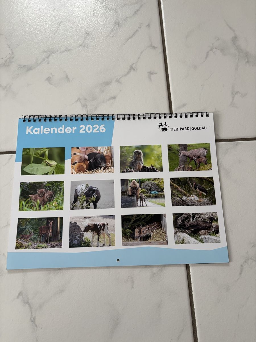 Calendari: Calendario 2026 – Nuovo e nell'imballaggio originale da Schwyz venduto da Francesca54 1