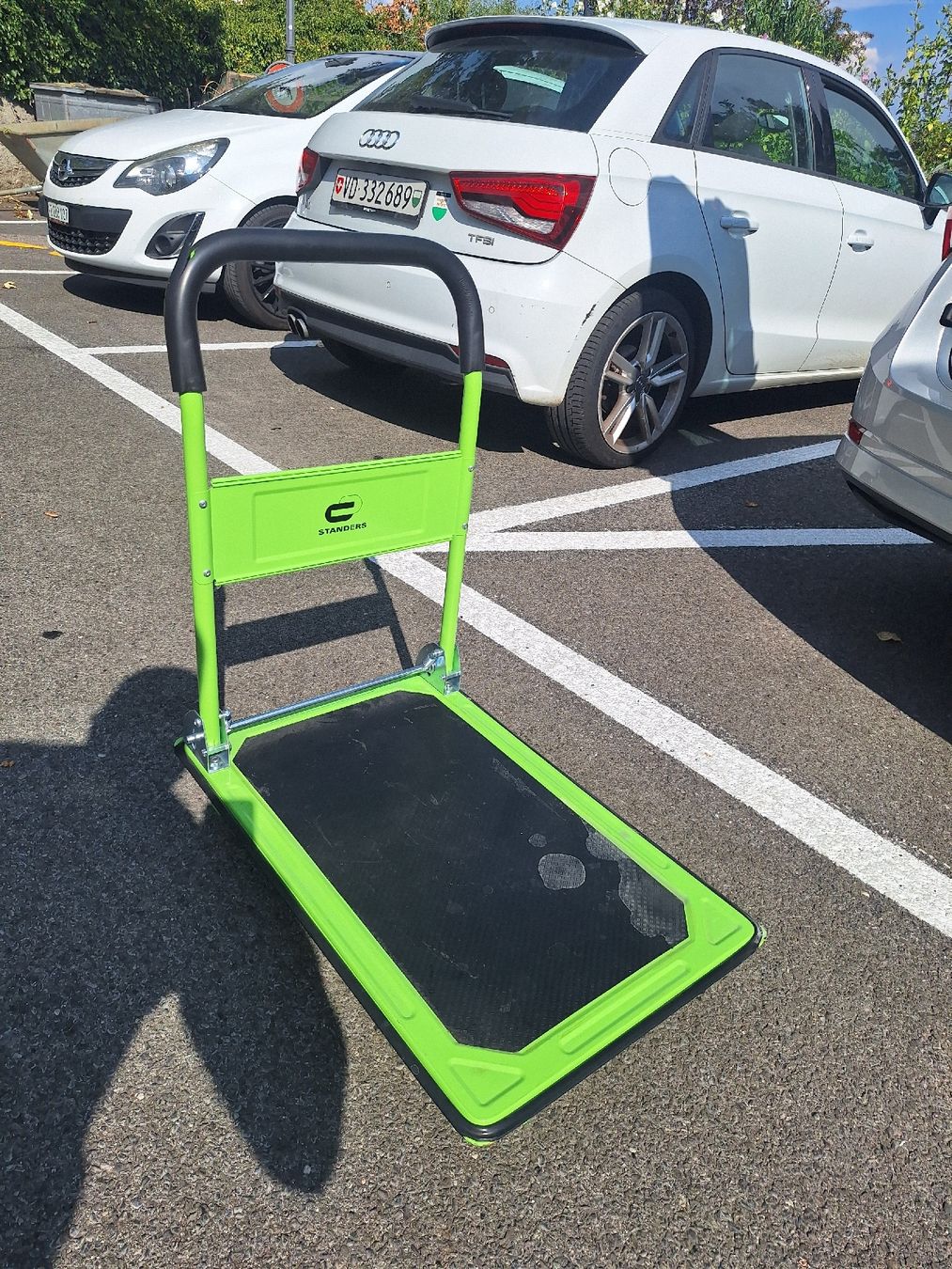 Carrelli di trasporto: Chariot de transport vert occcasion – Usato da Crans VD venduto da Yobia8