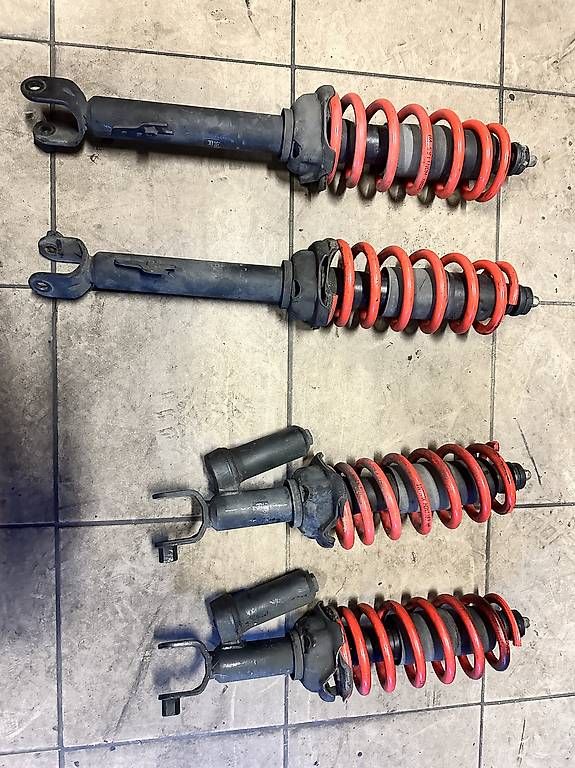 Il mondo degli animali: Tieferlegungsfedern Honda S2000 – Usato da Glis venduto da hondi86 1