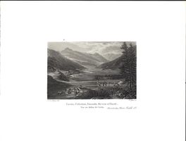 Cresta, Cellerina, Samaden, Bevers von Meyer selten