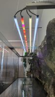 Éclairage LED aquarium avec contrôleur SunRiser4