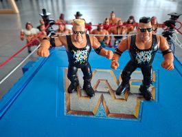 WWF Hasbro Nasty Boys Brian Knobbs & Jerry Sags Tag Team Set