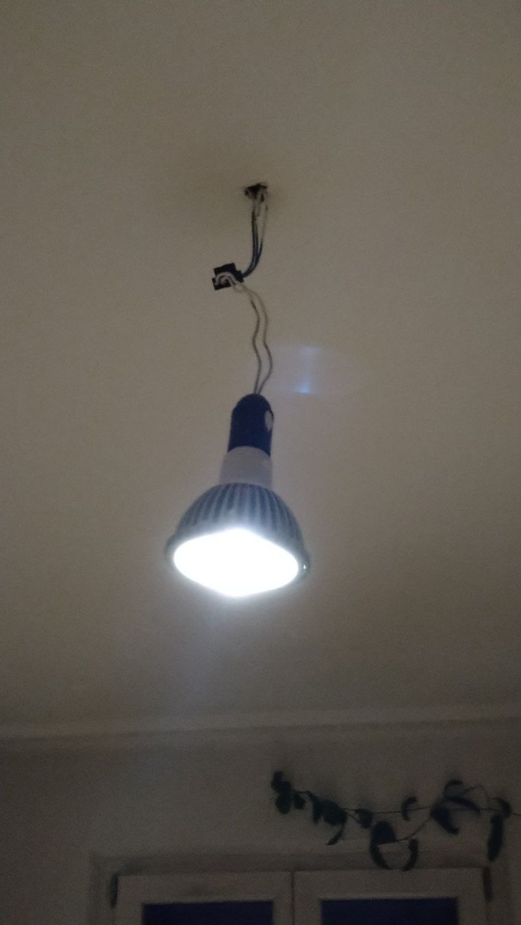 Lampade: LED Spotlight Par38 LED 15Watt – Usato da Gelterkinden venduto da martinom 2