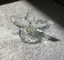 Swarovski Kristall Orchidee - Wunderschönes Vitrinenstück