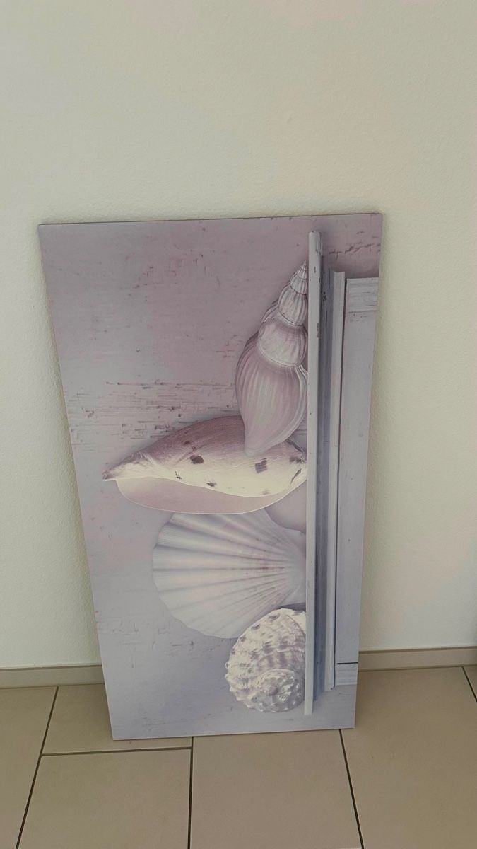 Foto & Immagini: Wandbild Muscheln – Nuovo (secondo la descrizione) da Unteraegeri venduto da Danijel3007