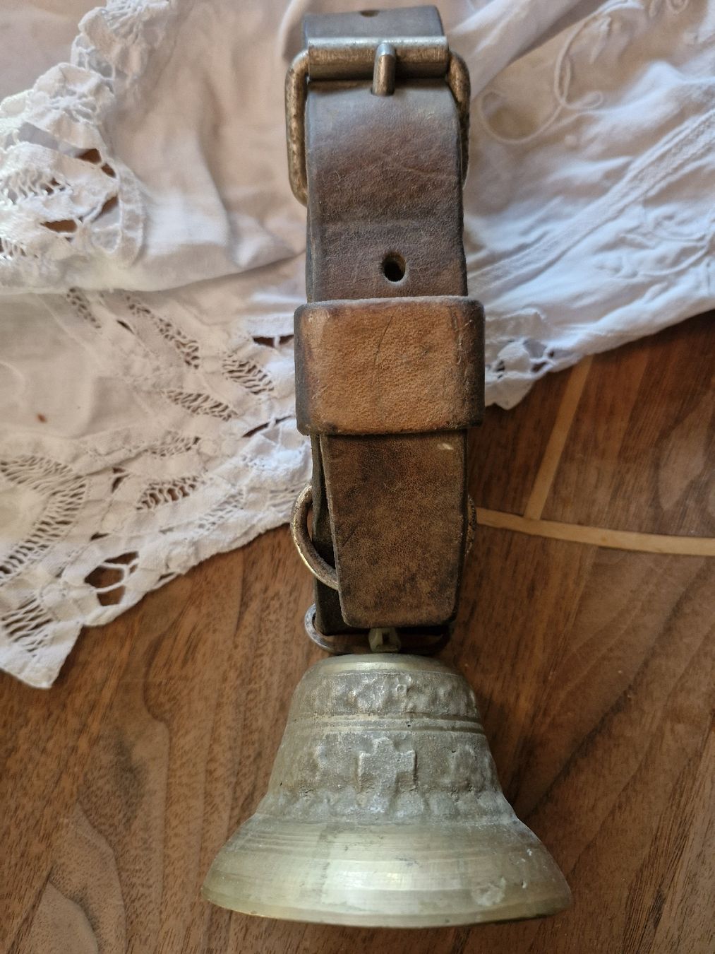 Campanacci mucche: Ziegen-Schafglöggli  – Usato da Guarda venduto da rue_bpd7 3