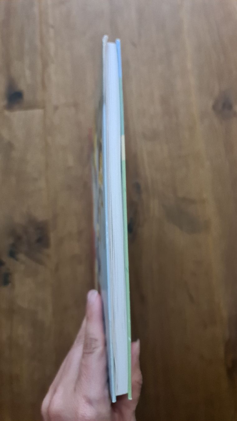 Libri: globi bei der feuerwehr – Usato da Wittenbach venduto da Tigerlili 1