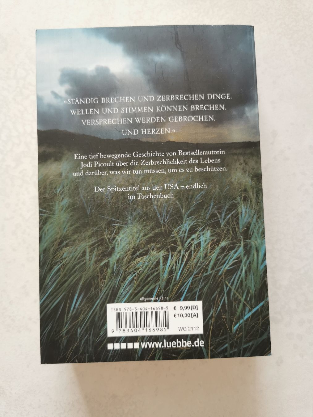 Libri: Buch Jodi Picoult - Zerbrechlich – Usato da Brunnen venduto da JJaime 1