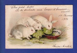 LAPIN