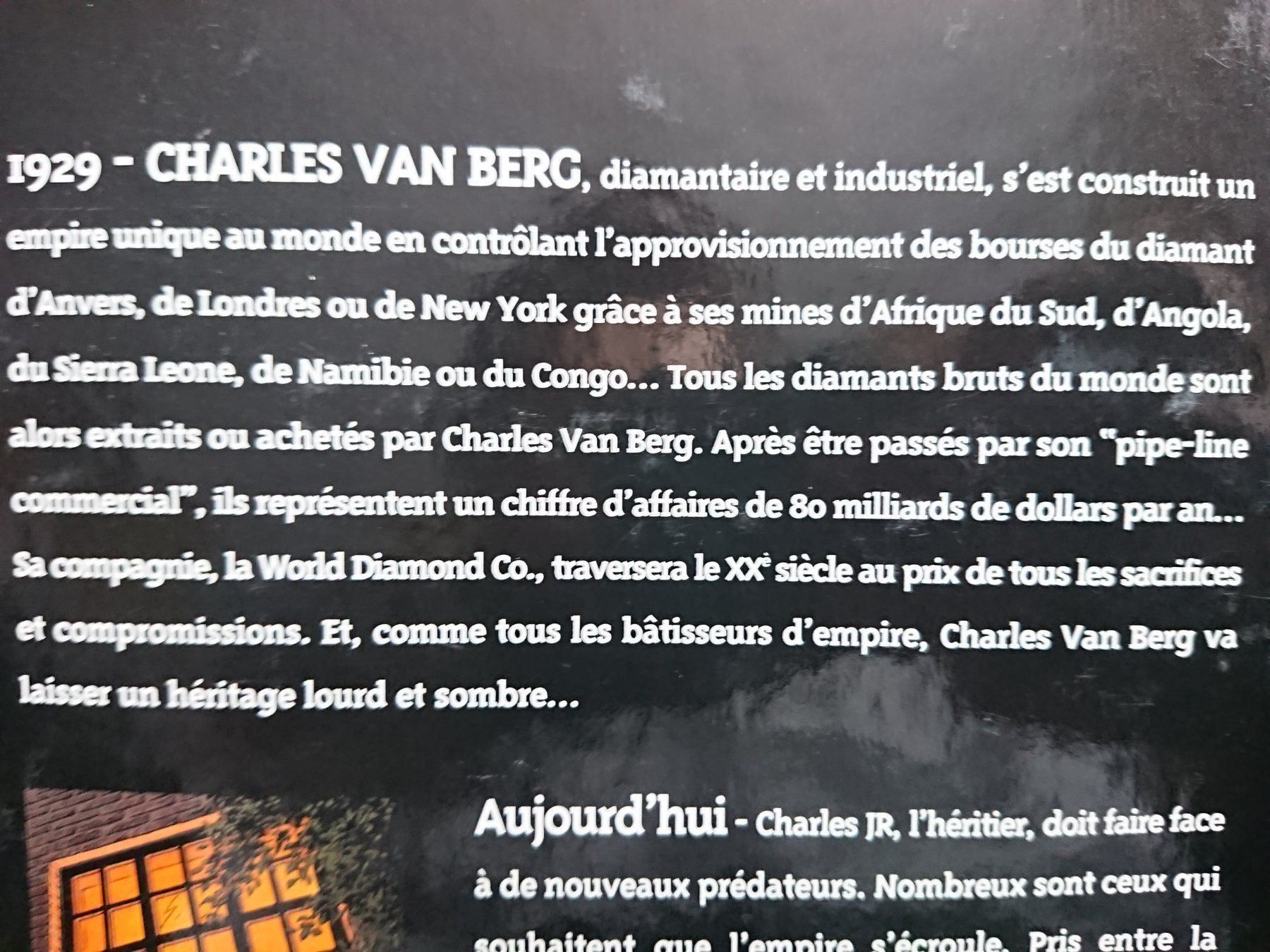 Fumetti: Diamants 1 — Charles van Berg EO – Usato da Farvagny-le-Grand venduto da LaCaverne 4