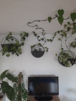 Wandvase rund schwarz Metall Deko Pflanzenhalter rund