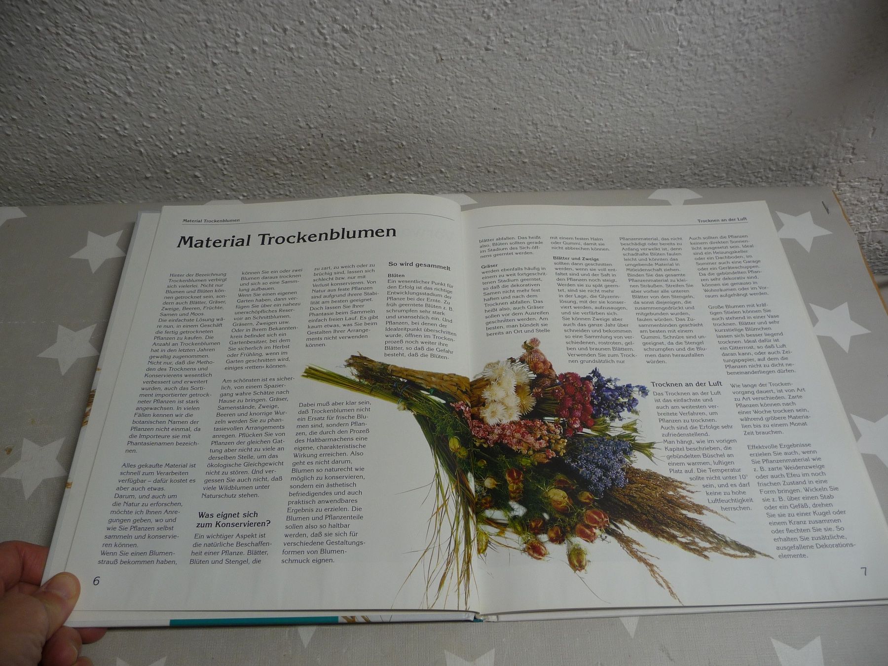 Libri: Buch: Trockenblumen binden und stecken – Usato da Rafz venduto da Powacaddy 1