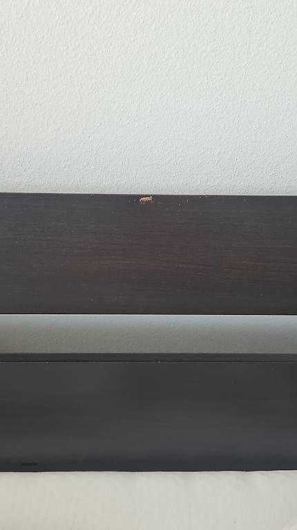 Letti: Malm Bett 180x200 – Usato da Zürich venduto da jozzh 4
