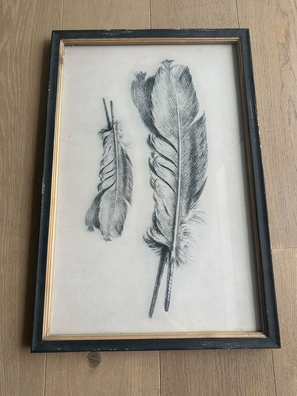 Foto & Immagini: Bild Federn gedruckt - Shabby Chic – Usato da Baden venduto da fossi-1