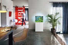 Juwel Aquarium Weiss Ohne Möbel
