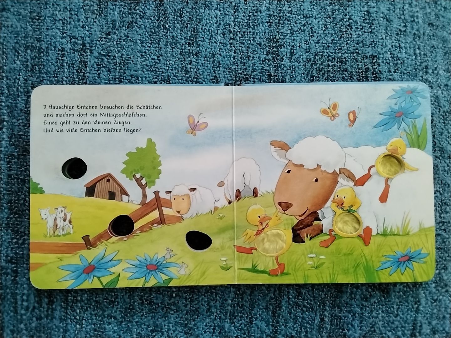 Bücher: 5 flauschige Entchen (24+ Monate) – Gebraucht aus Balterswil von Meerdeern 1