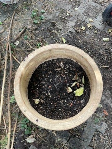 Pots de fleurs: Grosser Blumentopf – D'occasion à Forch par ESELSTEIN 2