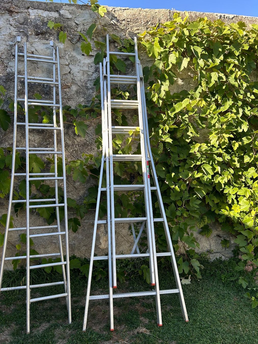 Echelles: Grande échelle alu – D'occasion à Courroux par pupaaldi
