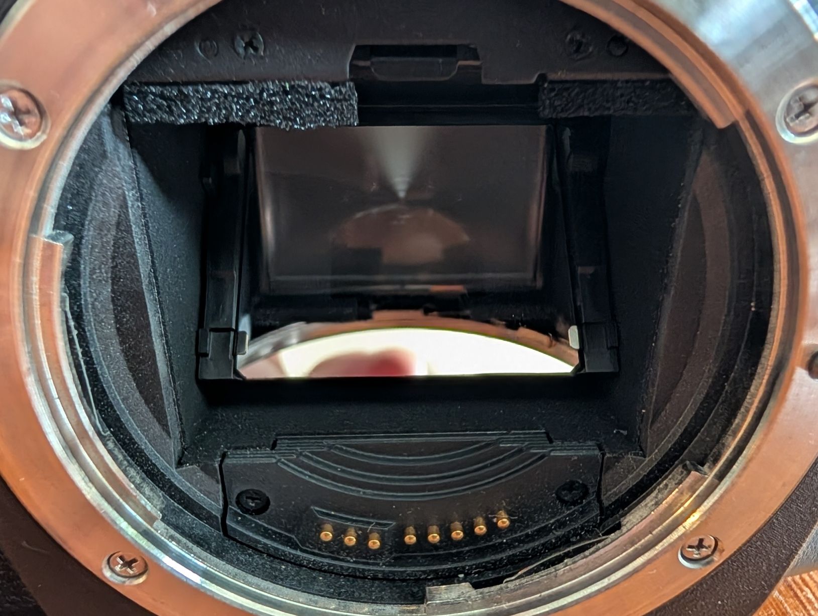 Canon Kamera: Canon EOS 5D Mark ii – Gebraucht aus Sursee von FlavioSonnenberg 4