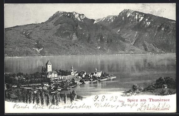 Cartes postales: Spiez am Thunersee, Totalansicht des Ort – D'occasion à Berlin par bartko-reher