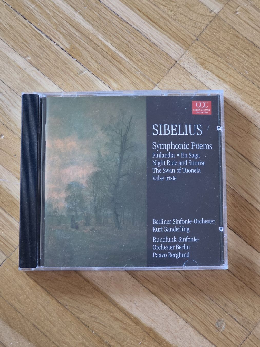 CD: CD: Jean Sibelius Symphonic Poems – Usato da Aesch BL venduto da immon