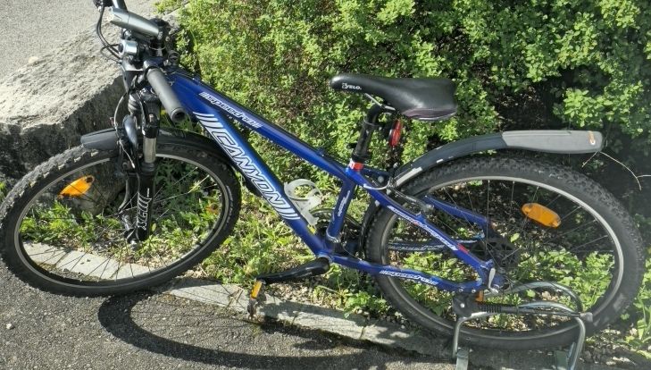 Biciclette: Canyon Jugendvelo – Usato da Ehrendingen venduto da Ince2016