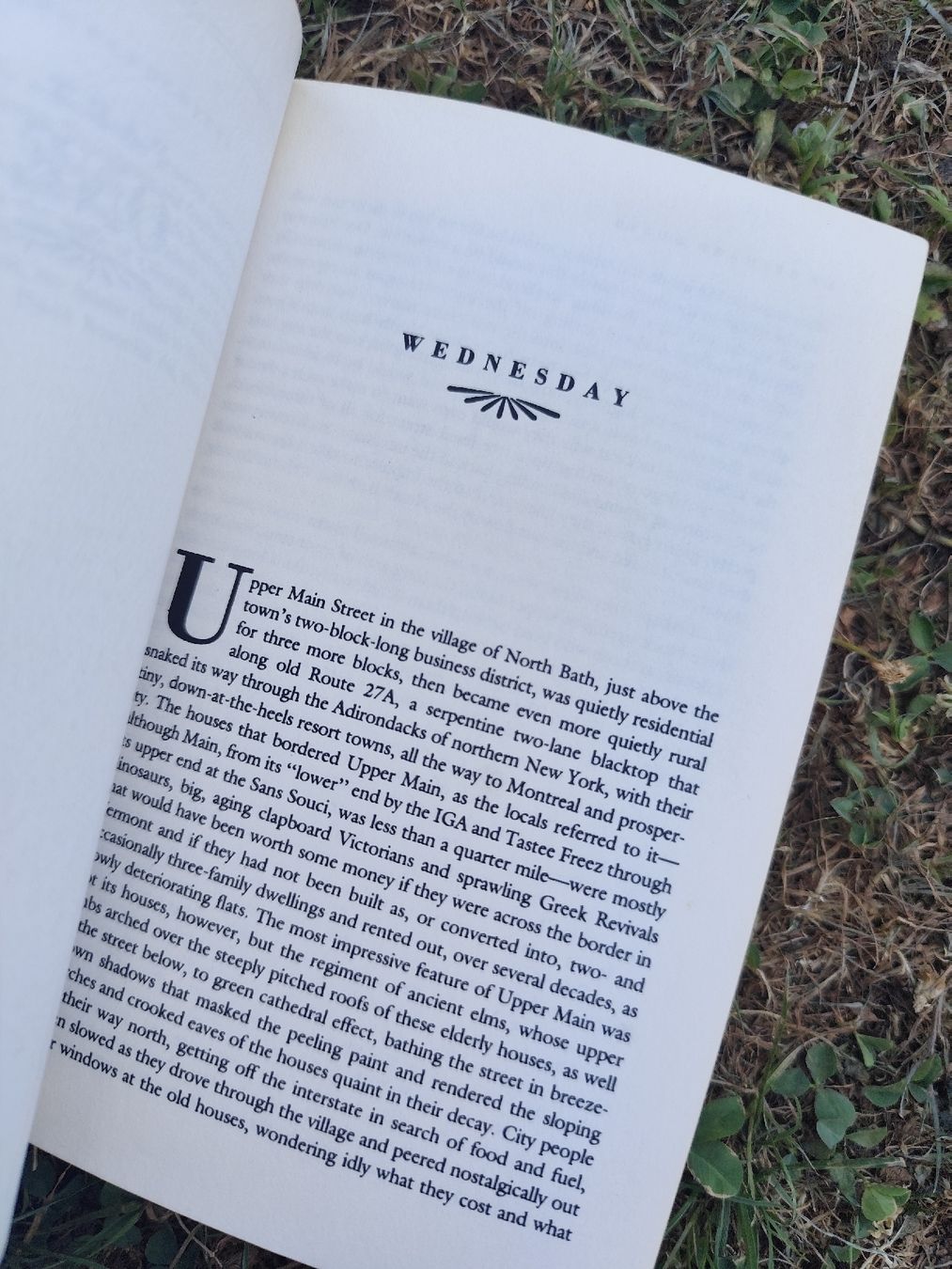 Libri: Richard Russo Nobody's Fool Paperback Book – Usato da Mägenwil venduto da VintageGirly 9