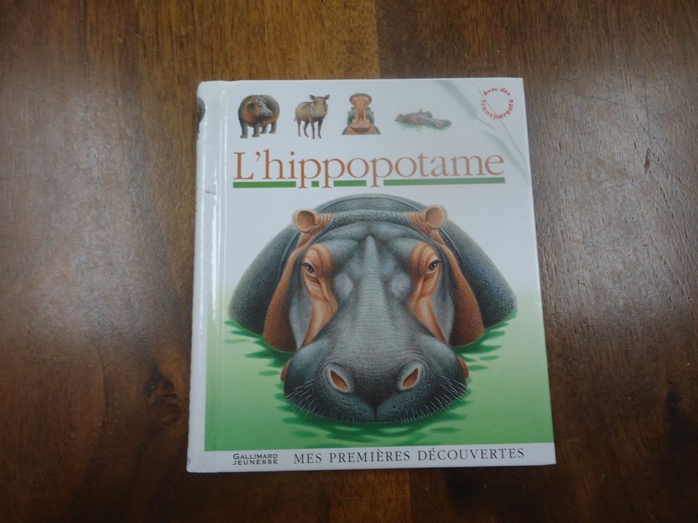 Cheval à Bascule L-Sport Hippopotame Grand Renard – Avec Bride Et Licol, Neuf