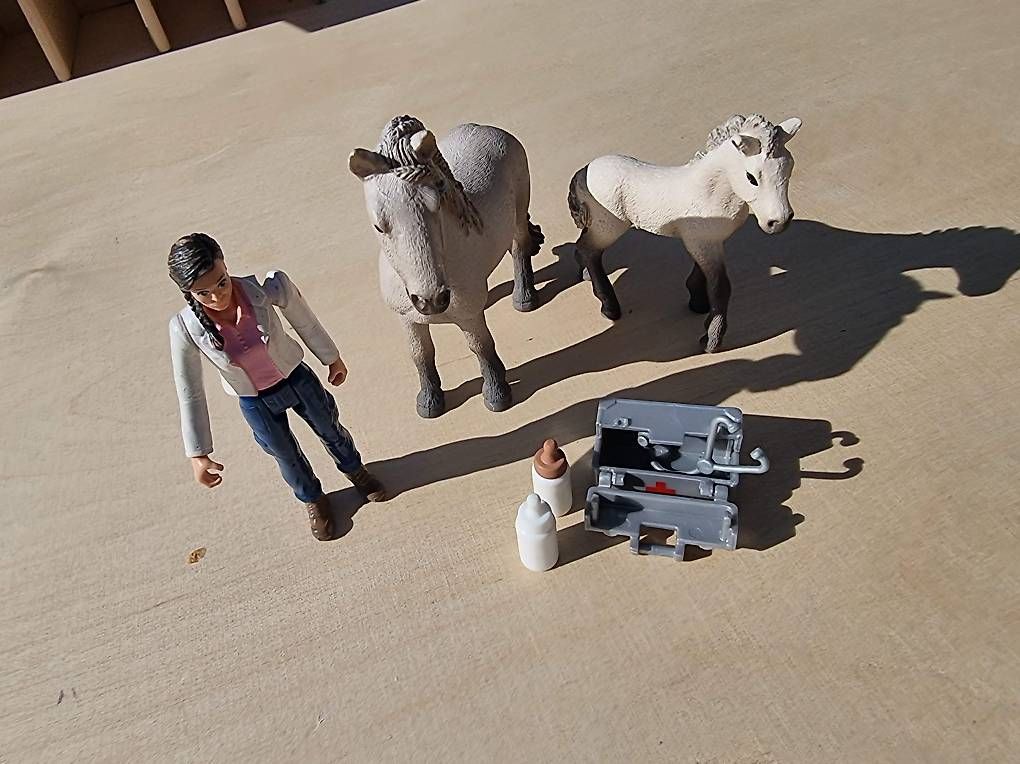 Schleich Spielzeuge: Schleich Set "Ärztin" – Gebraucht aus Ortschwaben von Patrick1978